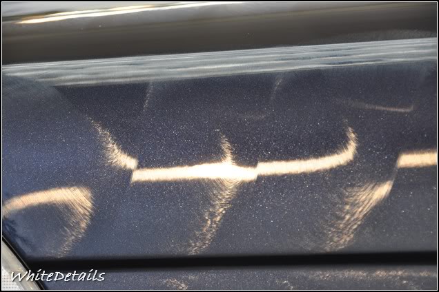 DSC_0242.jpg DSC_0242.jpg