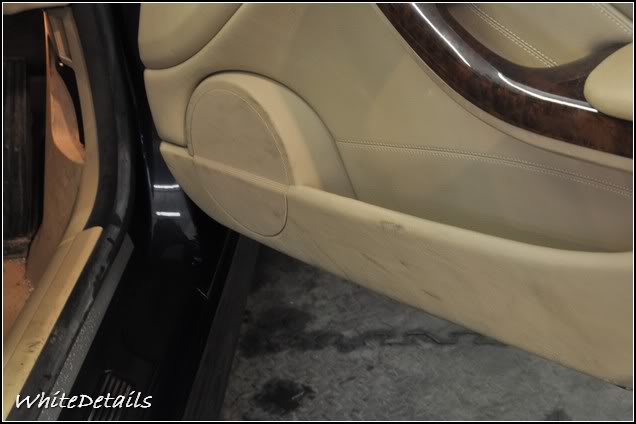 DSC_0245.jpg DSC_0245.jpg