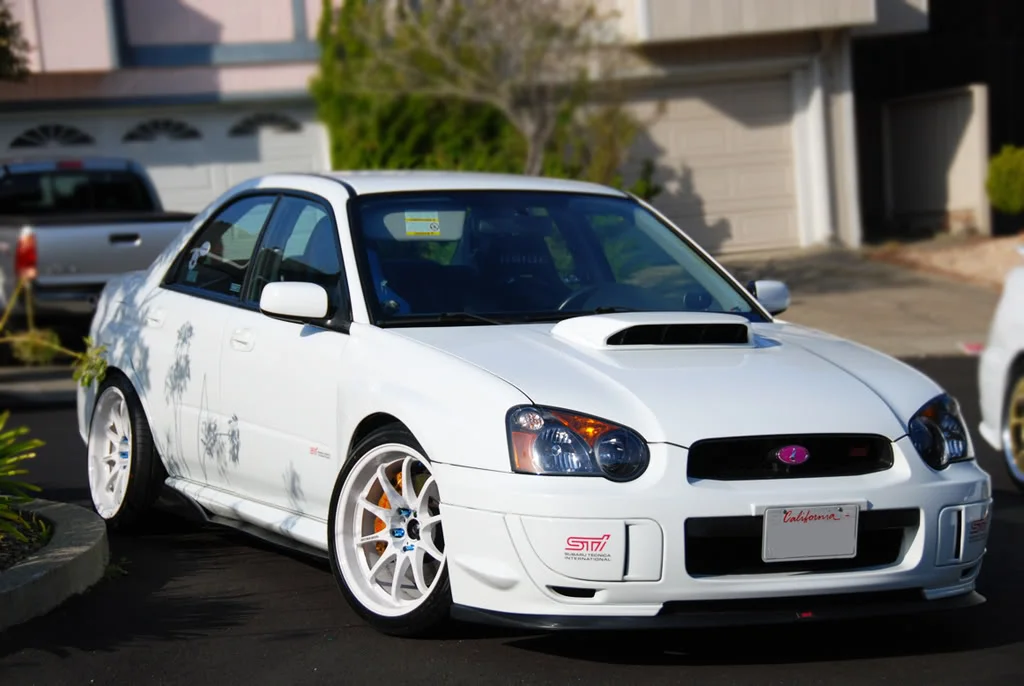 DSC_0245.webp