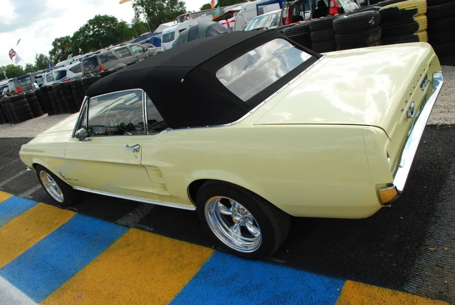 DSC_0247.webp