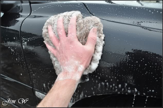 DSC_0251.jpg DSC_0251.jpg