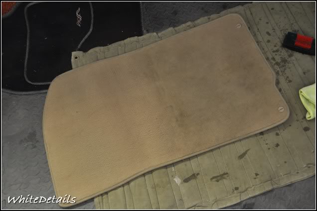 DSC_0261.jpg DSC_0261.jpg