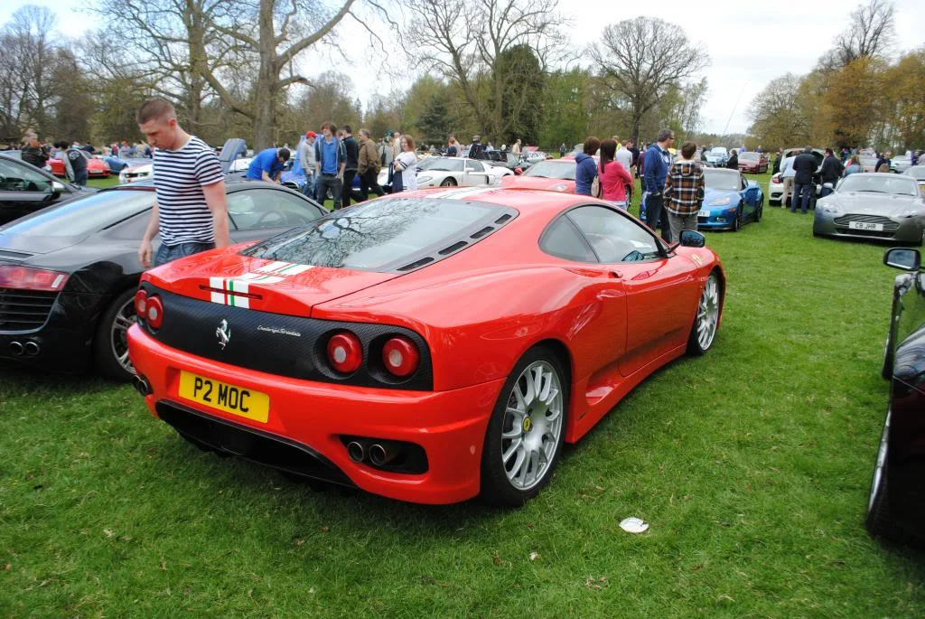 DSC_0262_zps161a4109.webp