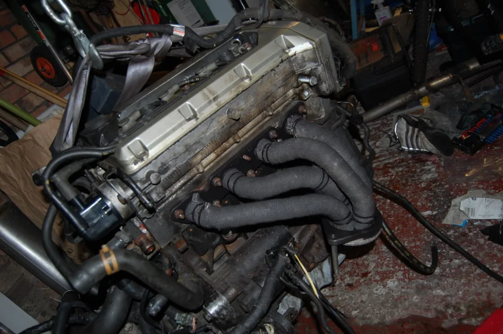 DSC_0263.webp