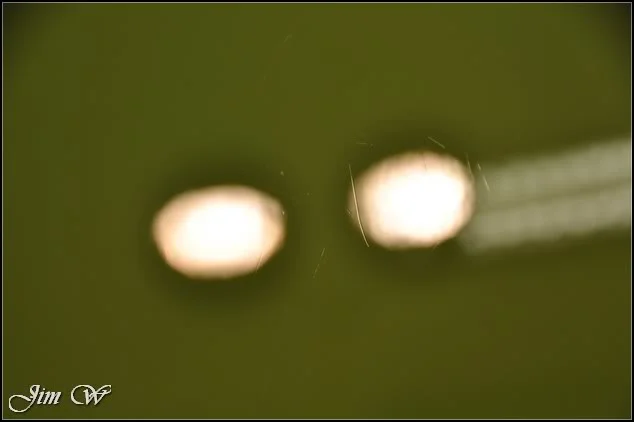 DSC_0280.webp
