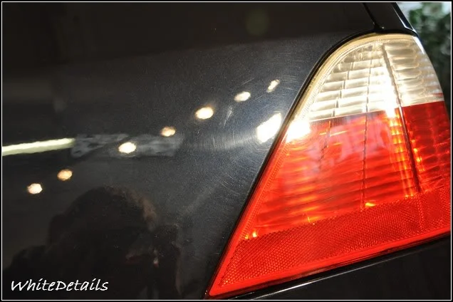DSC_0282.webp