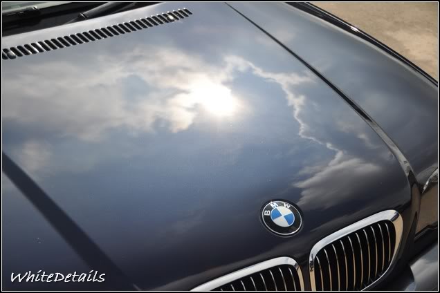 DSC_0290.jpg DSC_0290.jpg