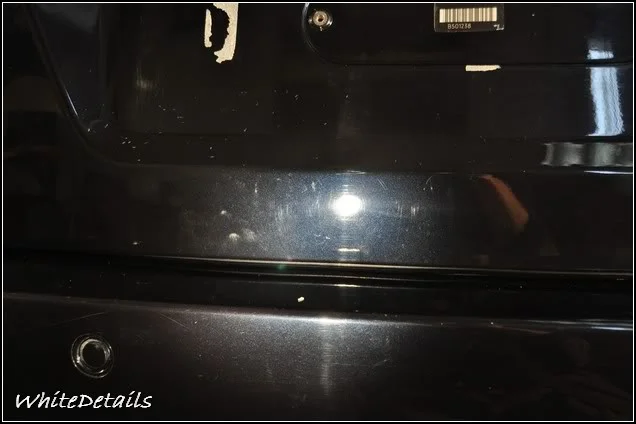 DSC_0290.webp