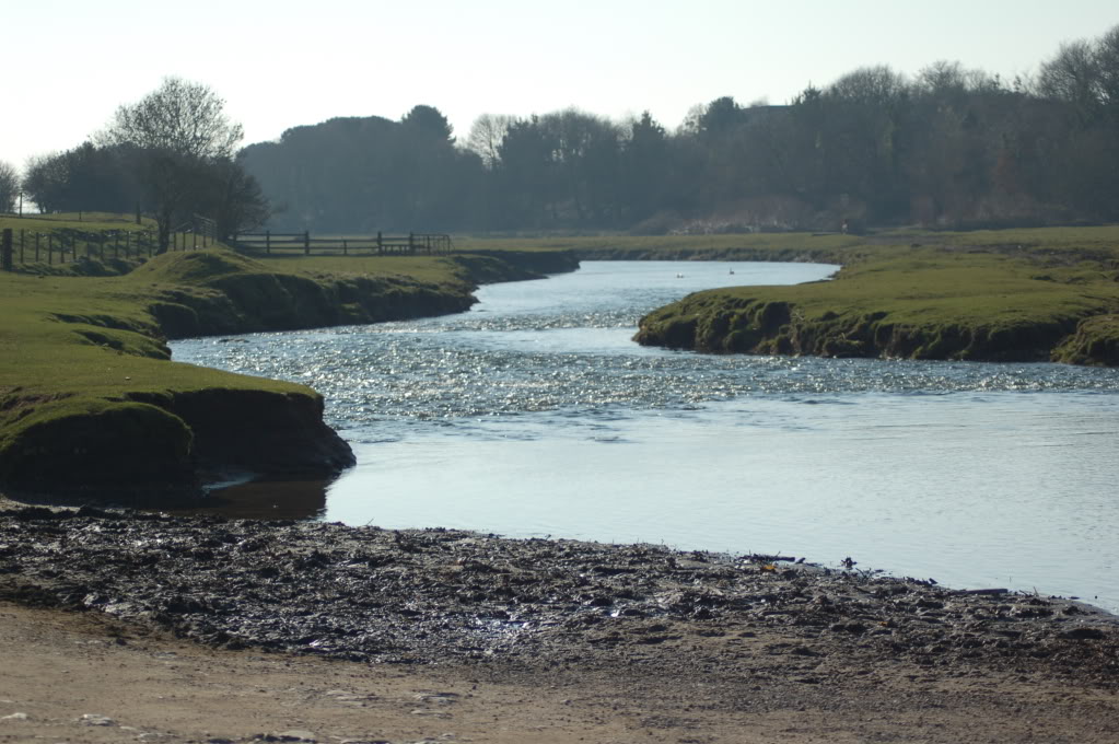 DSC_0294.jpg