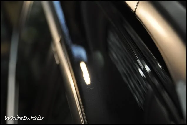 DSC_0294.webp
