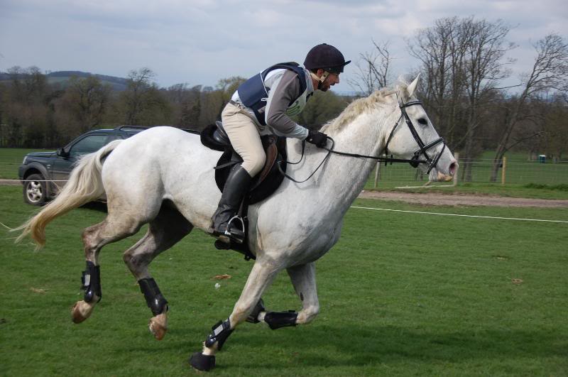 DSC_0295.jpg DSC_0295.jpg