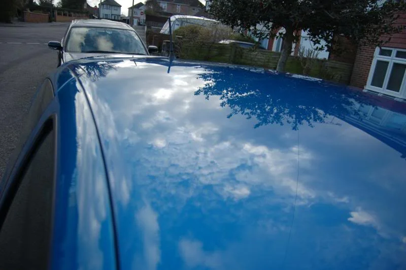 DSC_0299.webp
