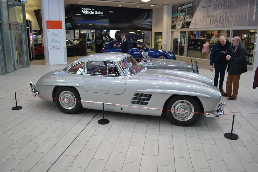 DSC_0299_zpszl59ljcr.webp