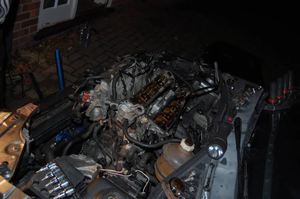 DSC_0303.webp