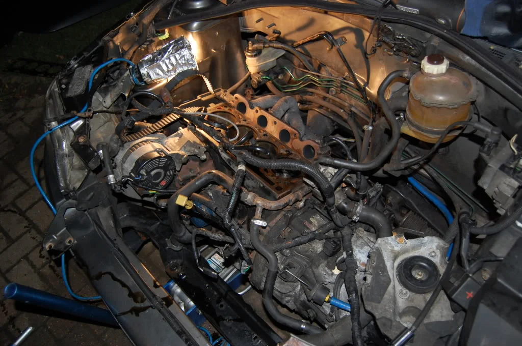 DSC_0304.webp
