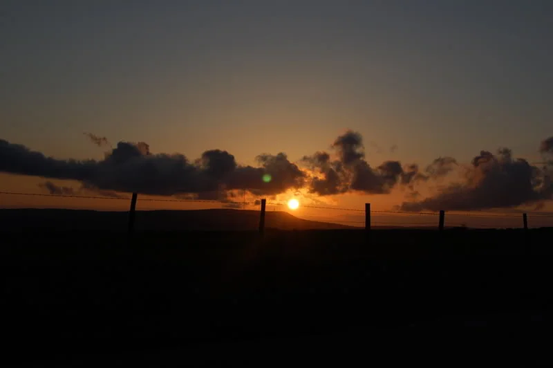 DSC_0305.webp