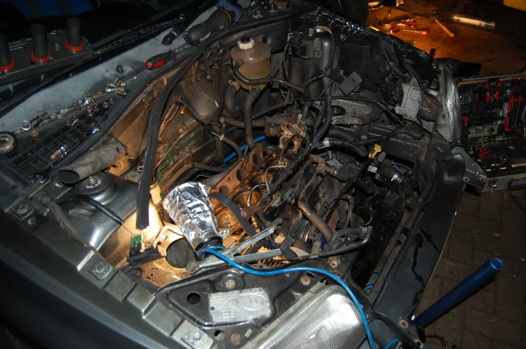 DSC_0305.webp