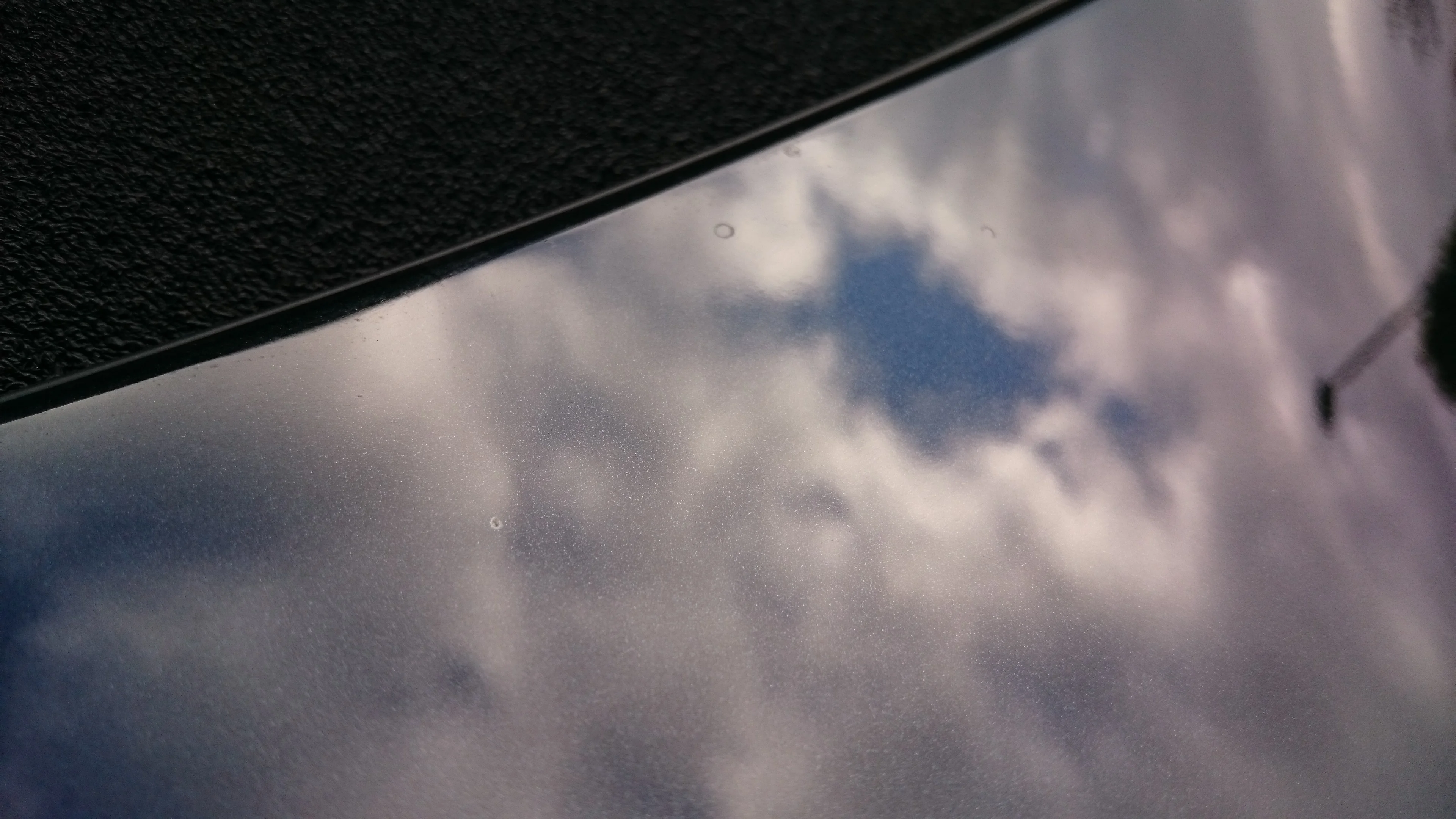 DSC_0307.webp