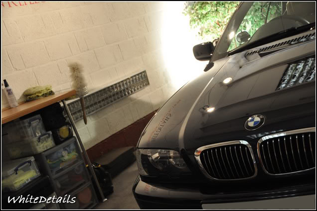 DSC_0308.jpg DSC_0308.jpg