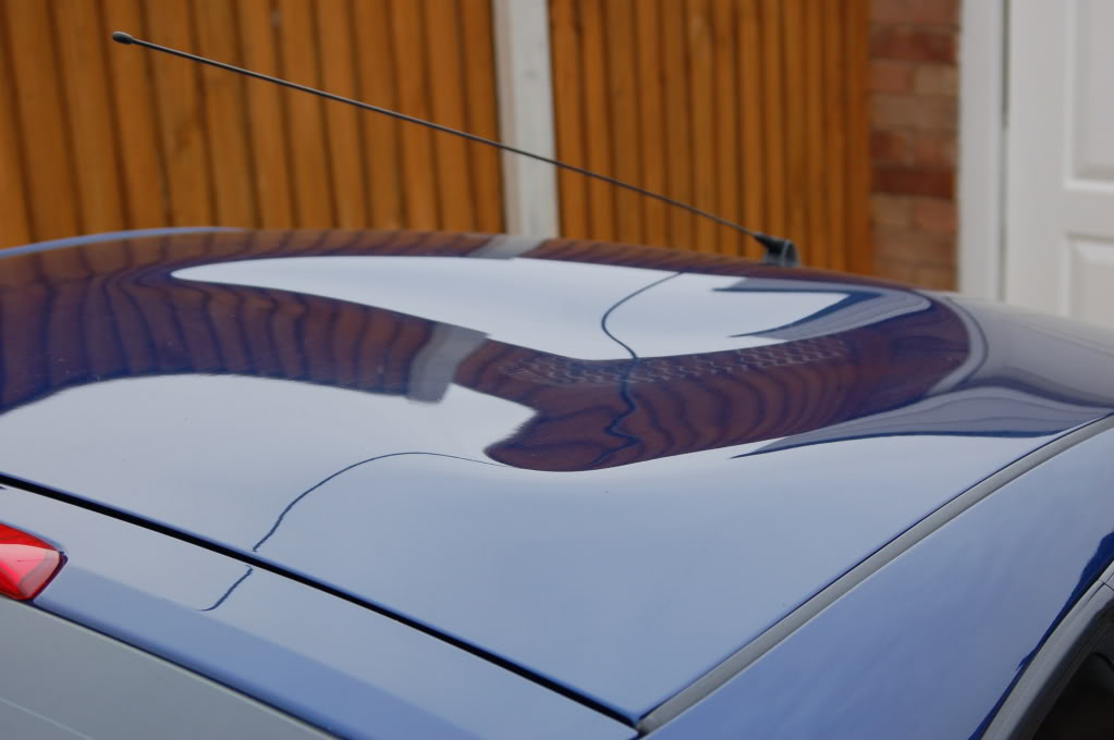 DSC_0309.jpg