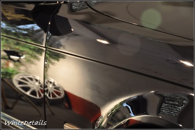 DSC_0310.jpg DSC_0310.jpg