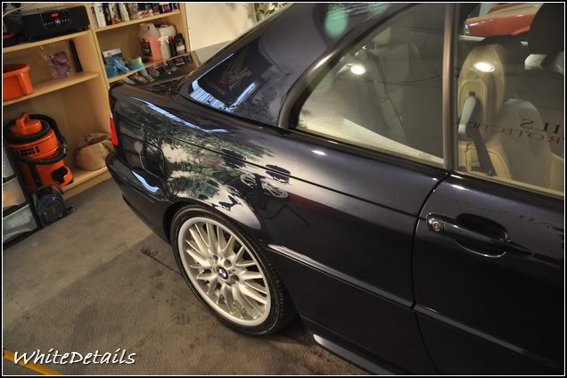 DSC_0313.jpg DSC_0313.jpg