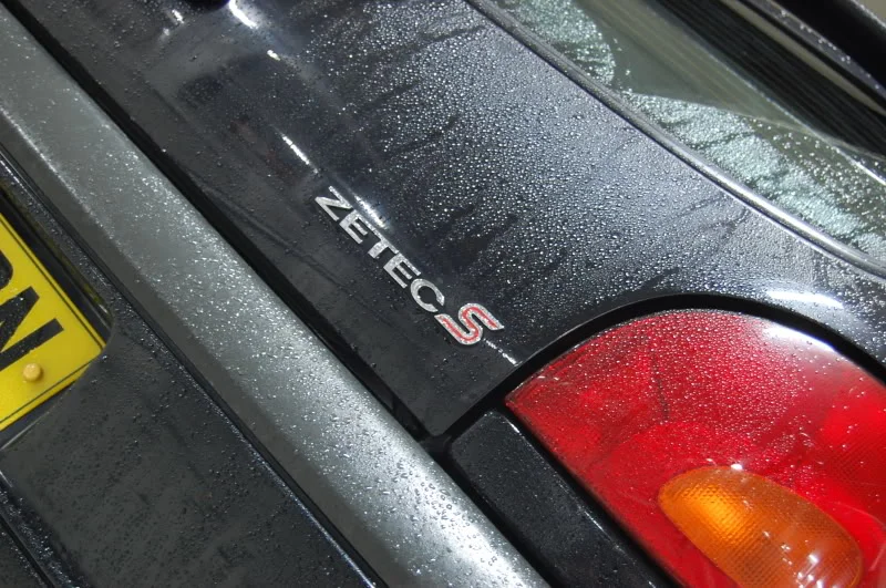 DSC_0315.webp