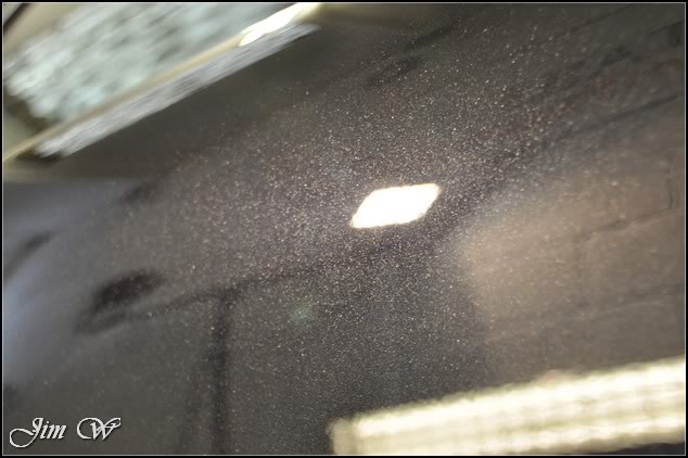 DSC_0317.jpg DSC_0317.jpg