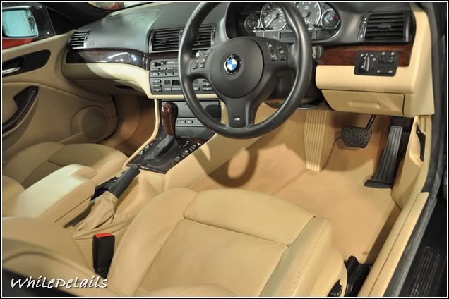 DSC_0317.jpg DSC_0317.jpg