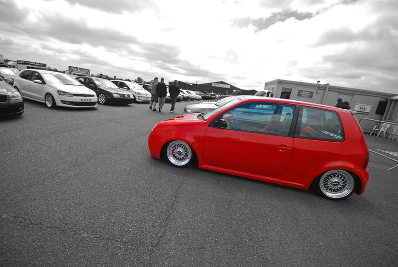 DSC_0318.webp