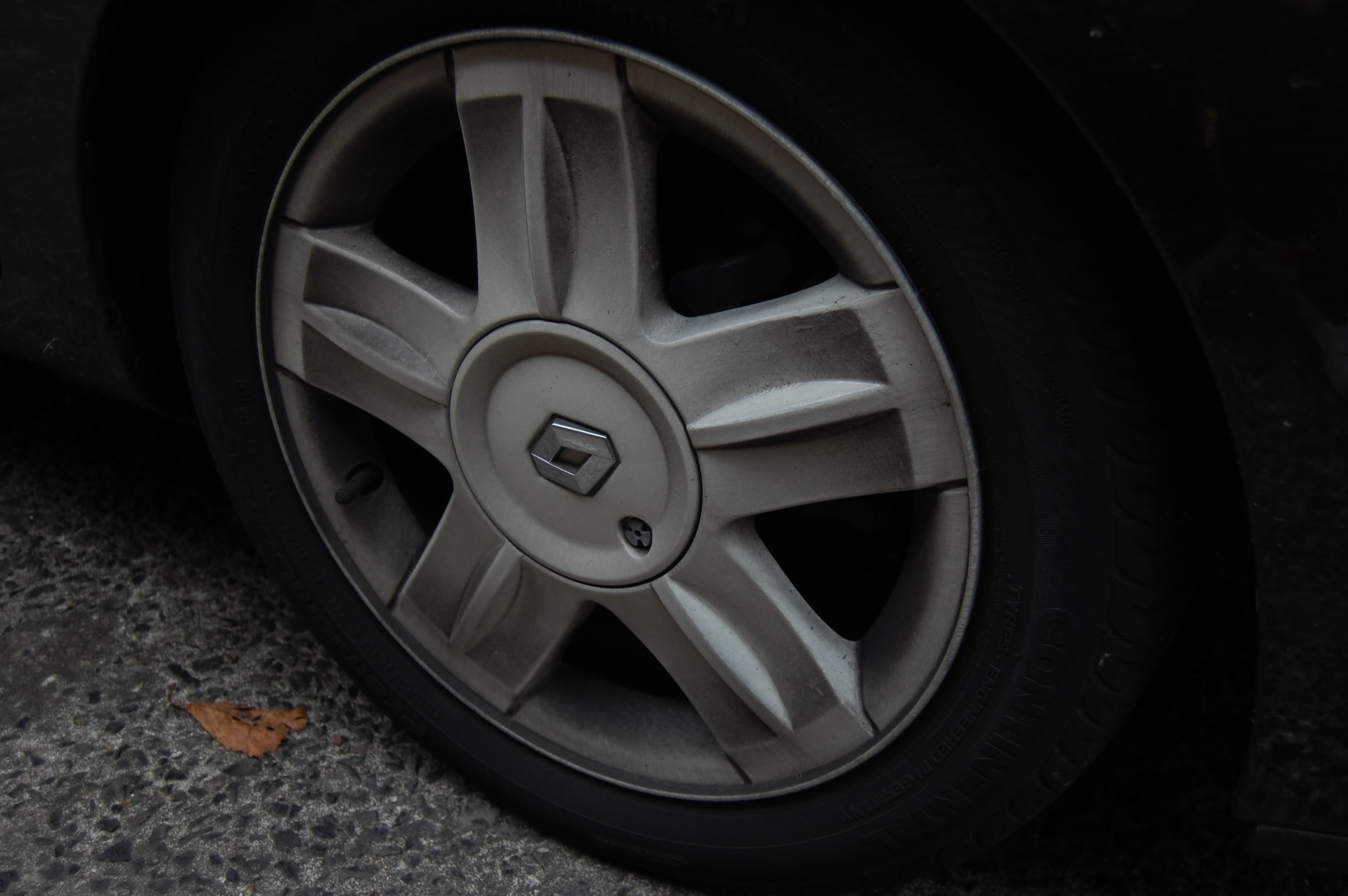 DSC_0319.jpg DSC_0319.jpg