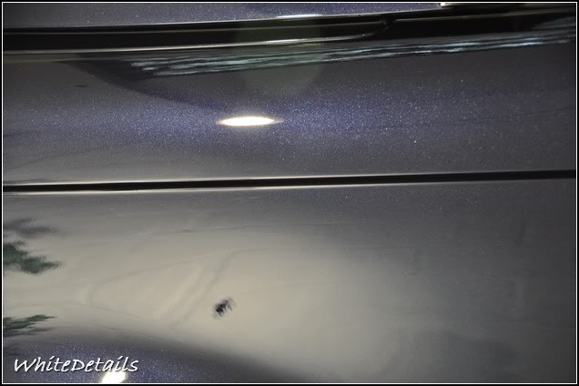 DSC_0321.jpg DSC_0321.jpg