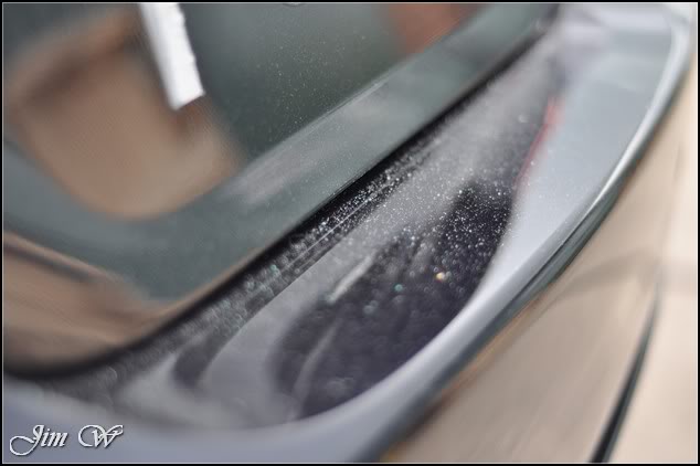 DSC_0328.jpg DSC_0328.jpg