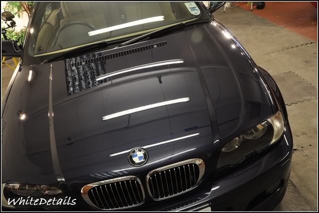 DSC_0334.jpg DSC_0334.jpg