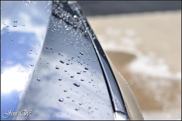 DSC_0339.jpg DSC_0339.jpg