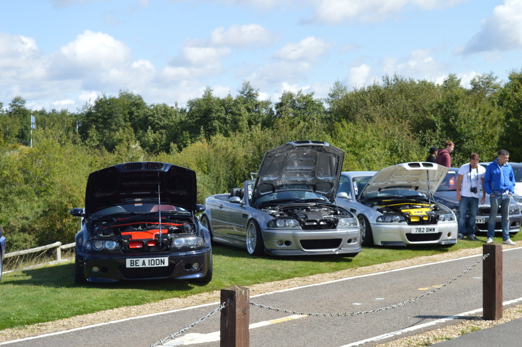 DSC_0342.jpg