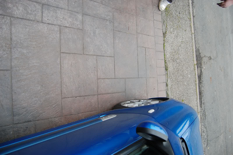 DSC_0342.jpg DSC_0342.jpg