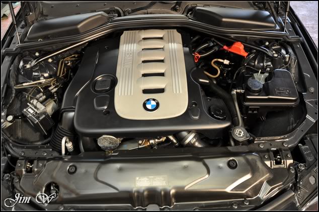 DSC_0342.jpg DSC_0342.jpg