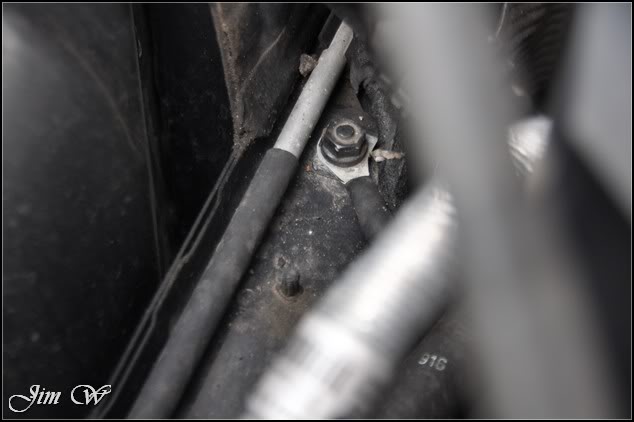 DSC_0344.jpg DSC_0344.jpg