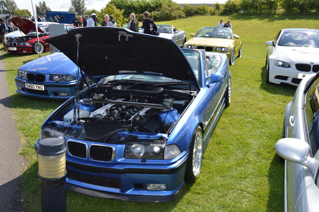 DSC_0345.jpg