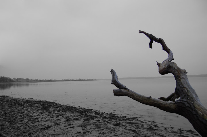 DSC_0345edit.jpg DSC_0345edit.jpg