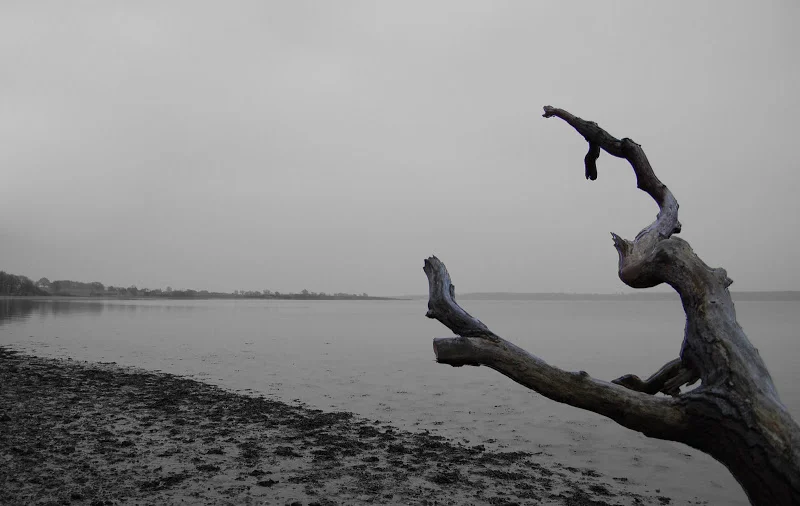 DSC_0345edit2.webp