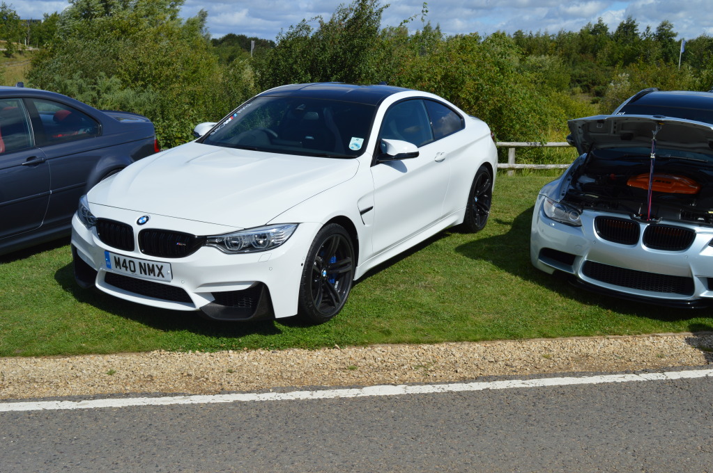 DSC_0353.jpg