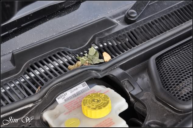 DSC_0360.jpg DSC_0360.jpg