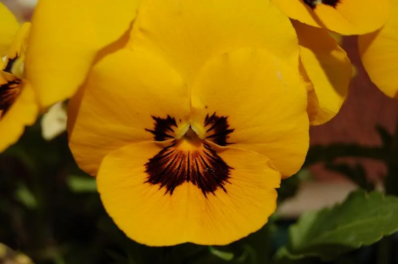 DSC_0360.webp