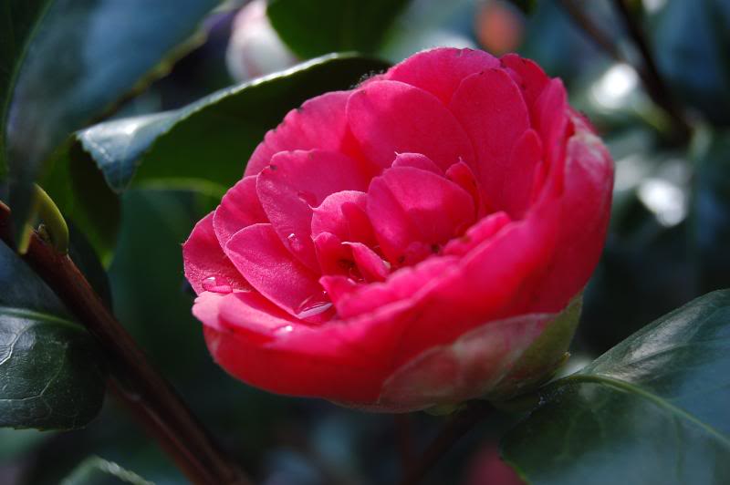 DSC_0362.jpg DSC_0362.jpg
