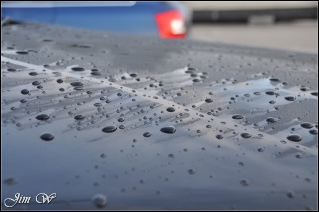 DSC_0367.jpg DSC_0367.jpg