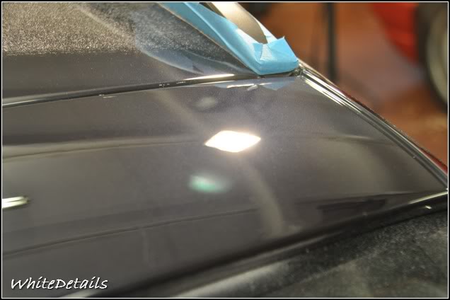 DSC_0369.jpg DSC_0369.jpg