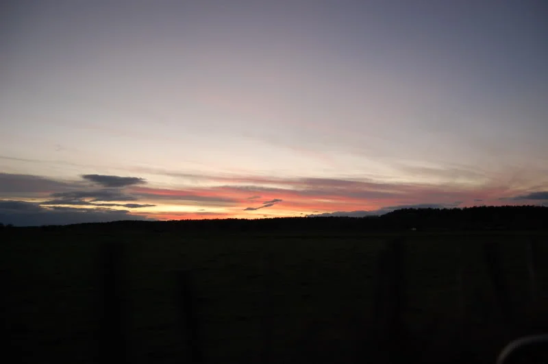 DSC_0371.webp