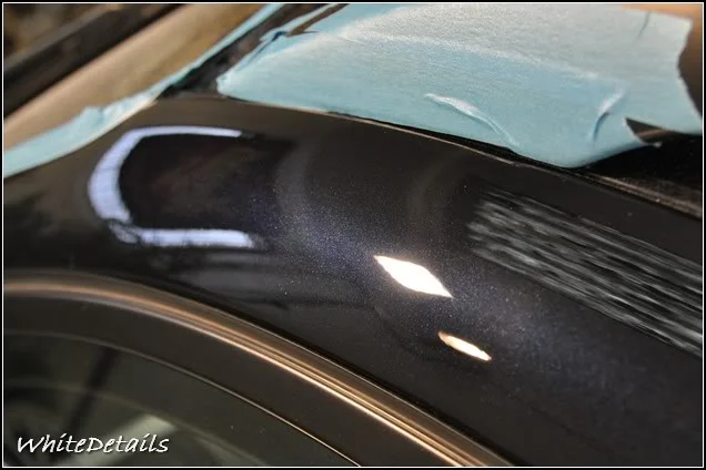DSC_0372.webp